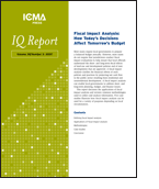 Fiscal Impact Analysis: How Today's Decisions Affect Tomorrow's Budget (e-Document)